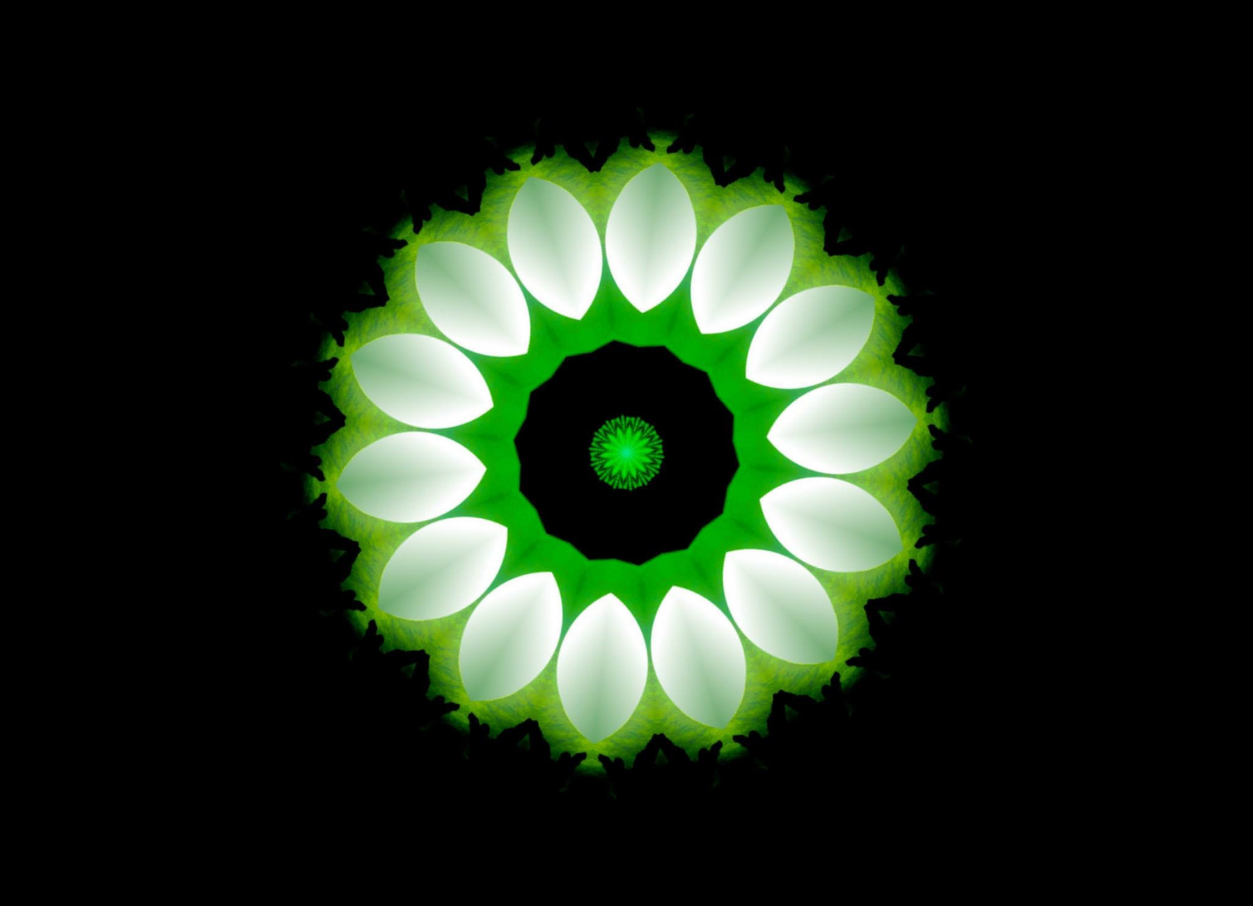 Digital Expressions