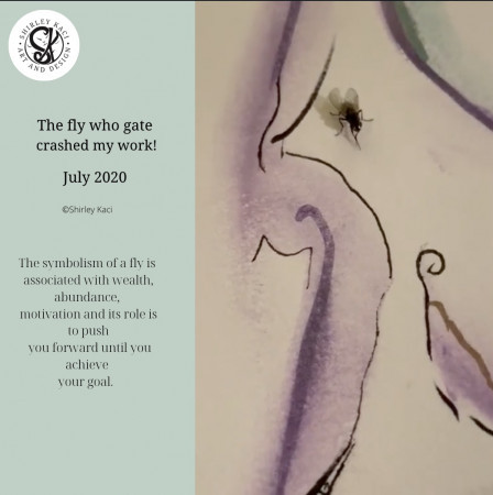 The Artists and The Fly July 2020