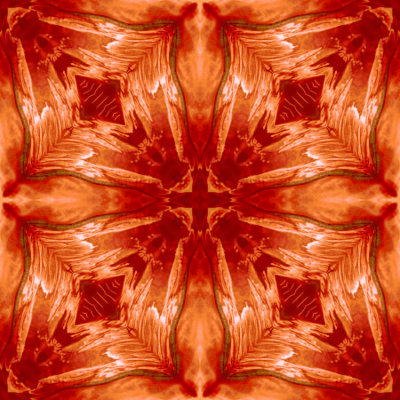 Mystical Warmth