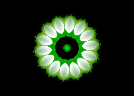 Digital Expressions